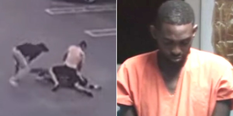 Two MMA coaches helped take down a man who allegedly stole a collection of Pokemon cards worth tens of thousands of dollars