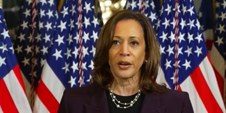 ‘It’s Like A Rainbow Of Beige’: Hollywood Liberals, Political Elites Flock To ‘White Dudes For Harris’ Fundraiser