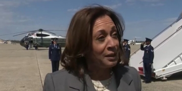 Trump Received Far More Votes In The 2020 Democratic Primary Than Kamala Harris
