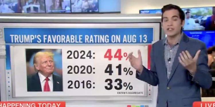 CNN’s Harry Enten Warns Harris Campaign Trump May Be ‘Tough To Put Away’ Because Of His Popularity Surge