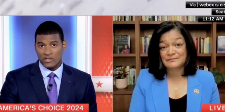 Dem Rep Casts Blame On ‘Big Money’ Advertisers For Squad Member’s Primary Defeat