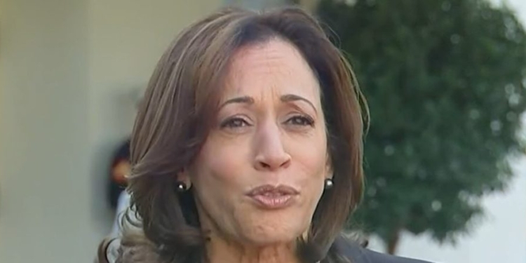 Dems Hope Harris Dodges Specifics, Rides ‘Wave Of Enthusiasm’ As Long As Possible