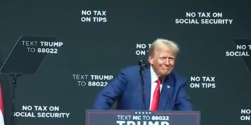 Harris Leads Trump In Key Swing State Demographic, But Huge Number Of Voters Are Still Up For Grabs: POLL