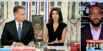 ‘On Her Time’: Harris Campaign Official Says Dem Nominee Will Talk To Press ‘When She Is Ready’