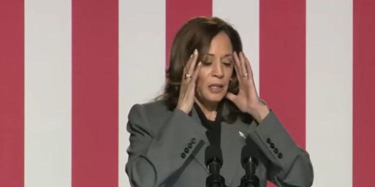 STEVE CORTES: Battleground Voters Don’t Trust Harris — She Seems Phony