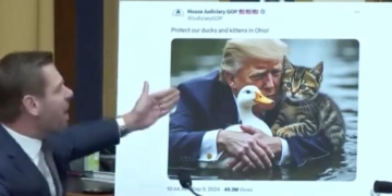 ‘What In The Hell Is This?’: Eric Swalwell Has Total Meltdown Over Donald Trump Cat Meme